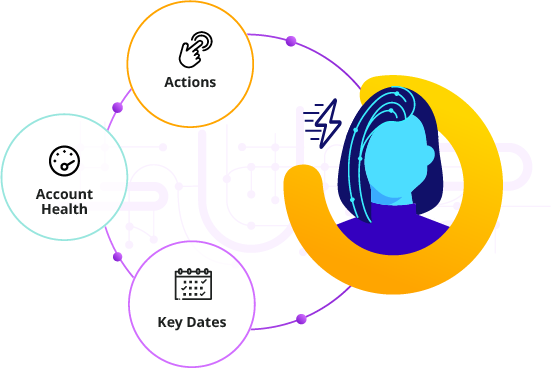 Conversica Revenue Digital Assistant is continually monitoring renewals, usage, adoption and health and taking the taking the right action